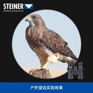 STEINER|德国原装进口视得乐望远镜8034 双筒观鸟高倍高清微光夜视10X32